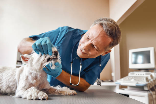Best After-Hours Emergency Dentist in Hartford City, IN
