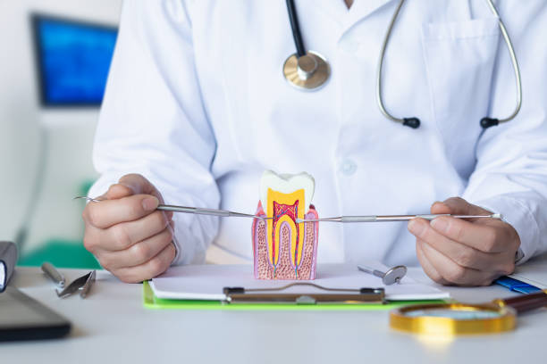 Best Emergency Root Canal Treatment in Hartford City, IN